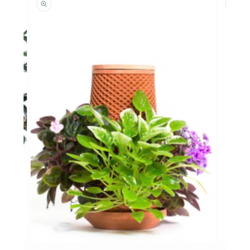 Teva self watering planter soil free terracotta orchids ferns 8.5” indoor garden - Picture 7 of 7